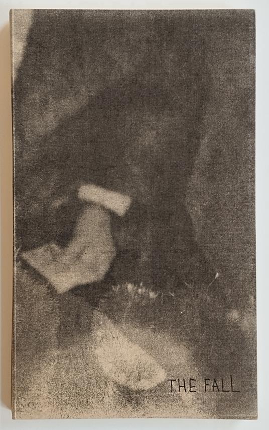 The Fall - copertina