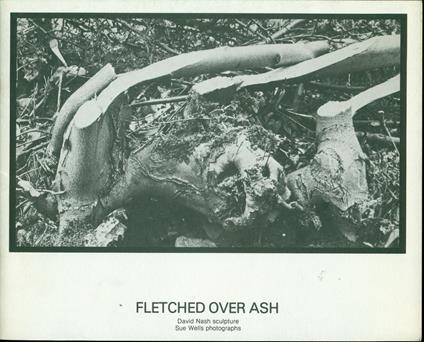 Fletched over ash. David Nash sculpture - copertina