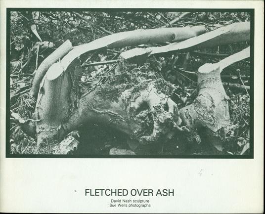 Fletched over ash. David Nash sculpture - copertina