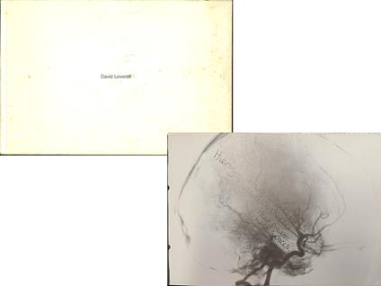 David Leverett. Fragments from the laminates of continuous time - copertina