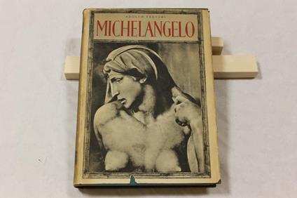 Adolfo Venturi. Michelangelo - Adolfo Venturi - copertina