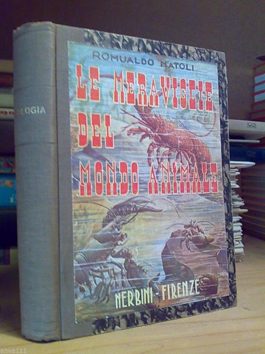 Romualdo Natoli - LE MERAVIGLIE DEL MONDO ANIMALE - Nerbini 1941 - copertina