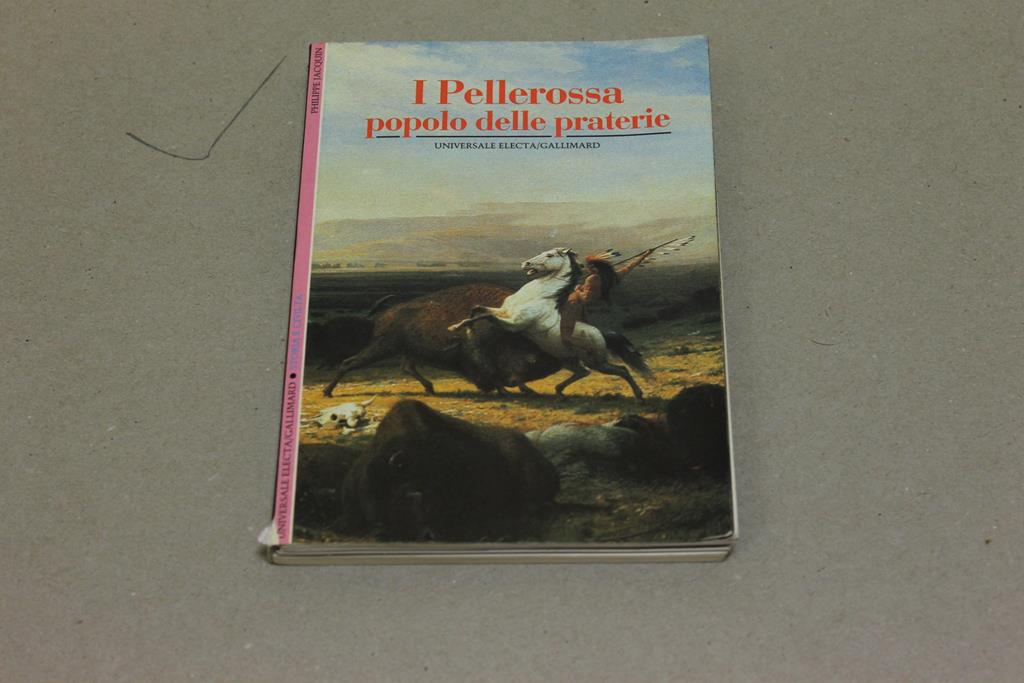 Amarcord Libri