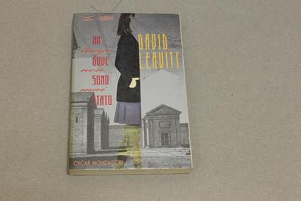 Un Un luogo dove non sono mai stato - David Leavitt - copertina