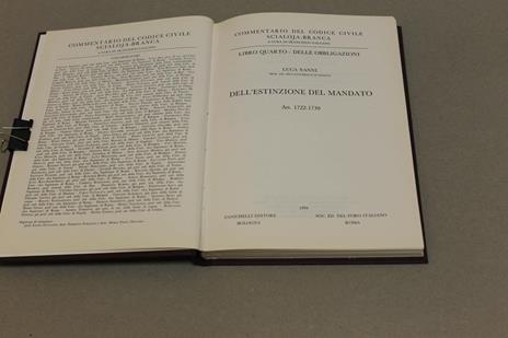Dell'estinzione del mandato - Luca Nanni - 2
