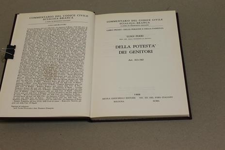 Della potestà dei genitori - Luigi Ferri - 2