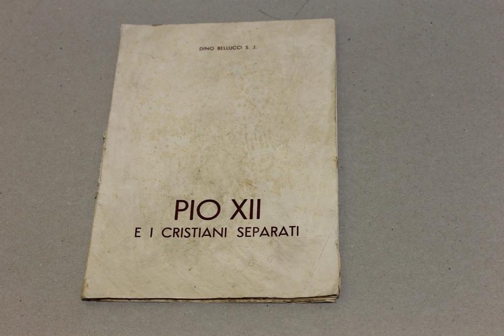 Amarcord Libri