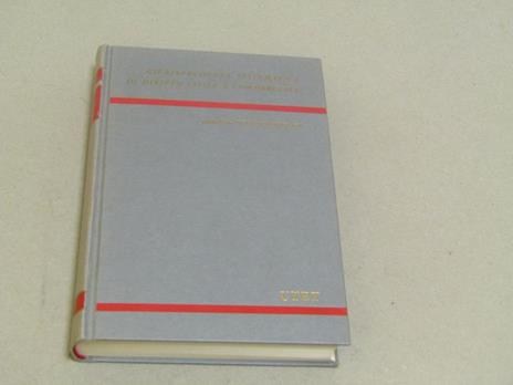 Beni ed attività economica della famiglia - Fernando Santosuosso - copertina