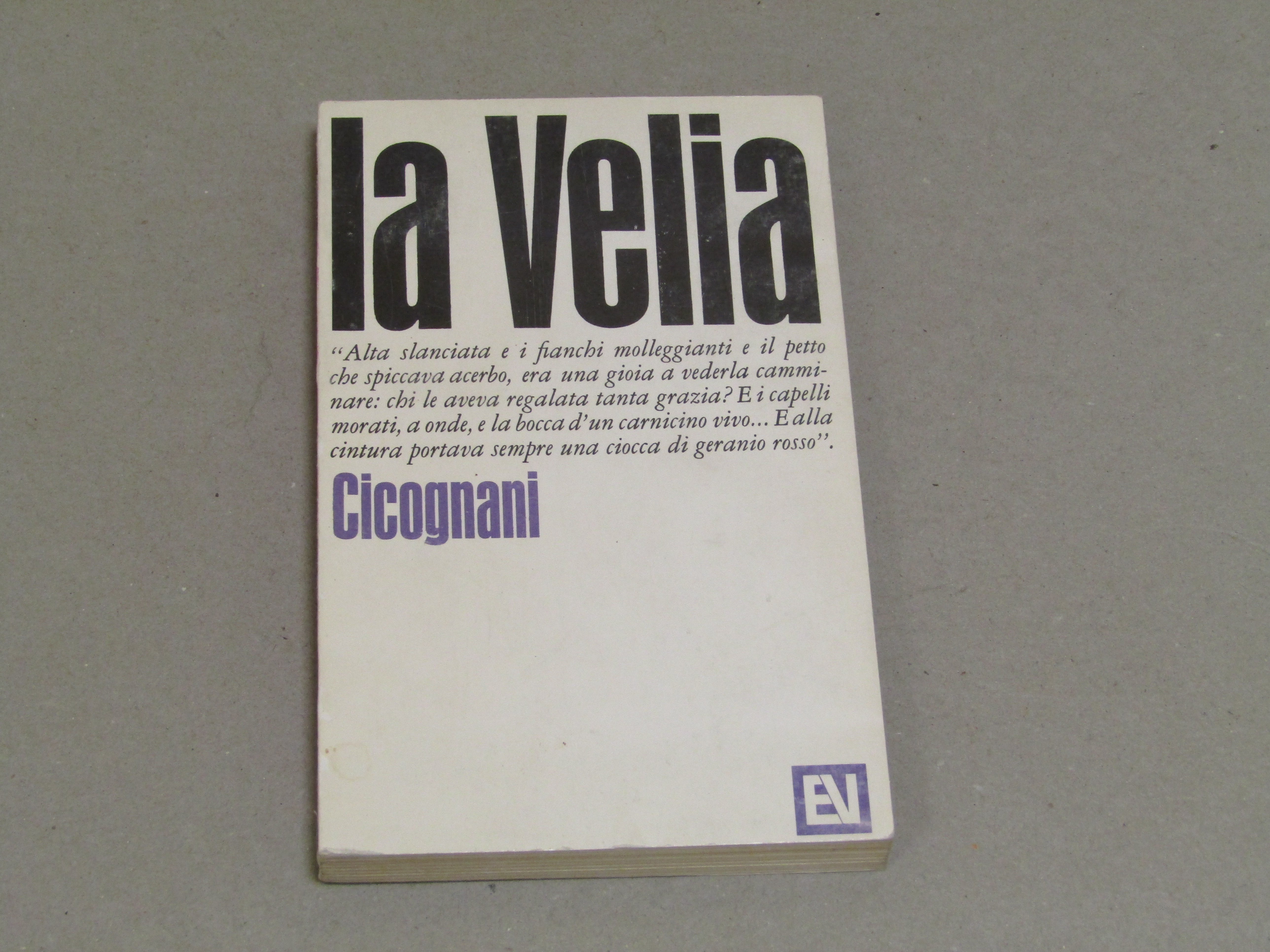 Amarcord Libri