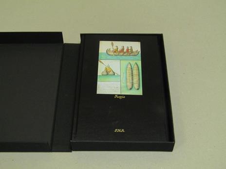Fuegia - 2