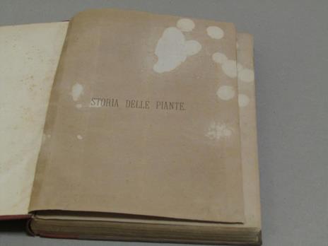 Storia Delle Piante - Luigi Figuier - copertina