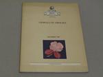 Gioielli Ed Orologi Venezia Palazzo Giovannelli 10 Dicembre 1989
