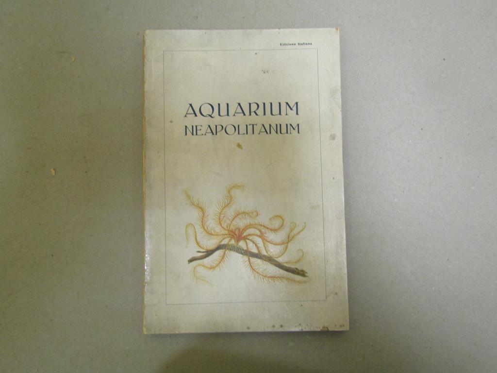 Amarcord Libri