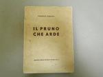 Il Il Pruno Che Arde