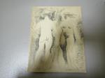 Marino Marini. Acquaforti 1946 - 1973