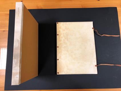 La donna con la bocca aperta, The woman with her mouth open. Con una serigrafia di Emilio Tadini. Plain wrapper press, 1980 - Luigi Santucci - copertina