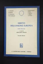Strozzi Girolamo (a cura di). Diritto dell'Unione Europea. Giappichelli Editore. 2005