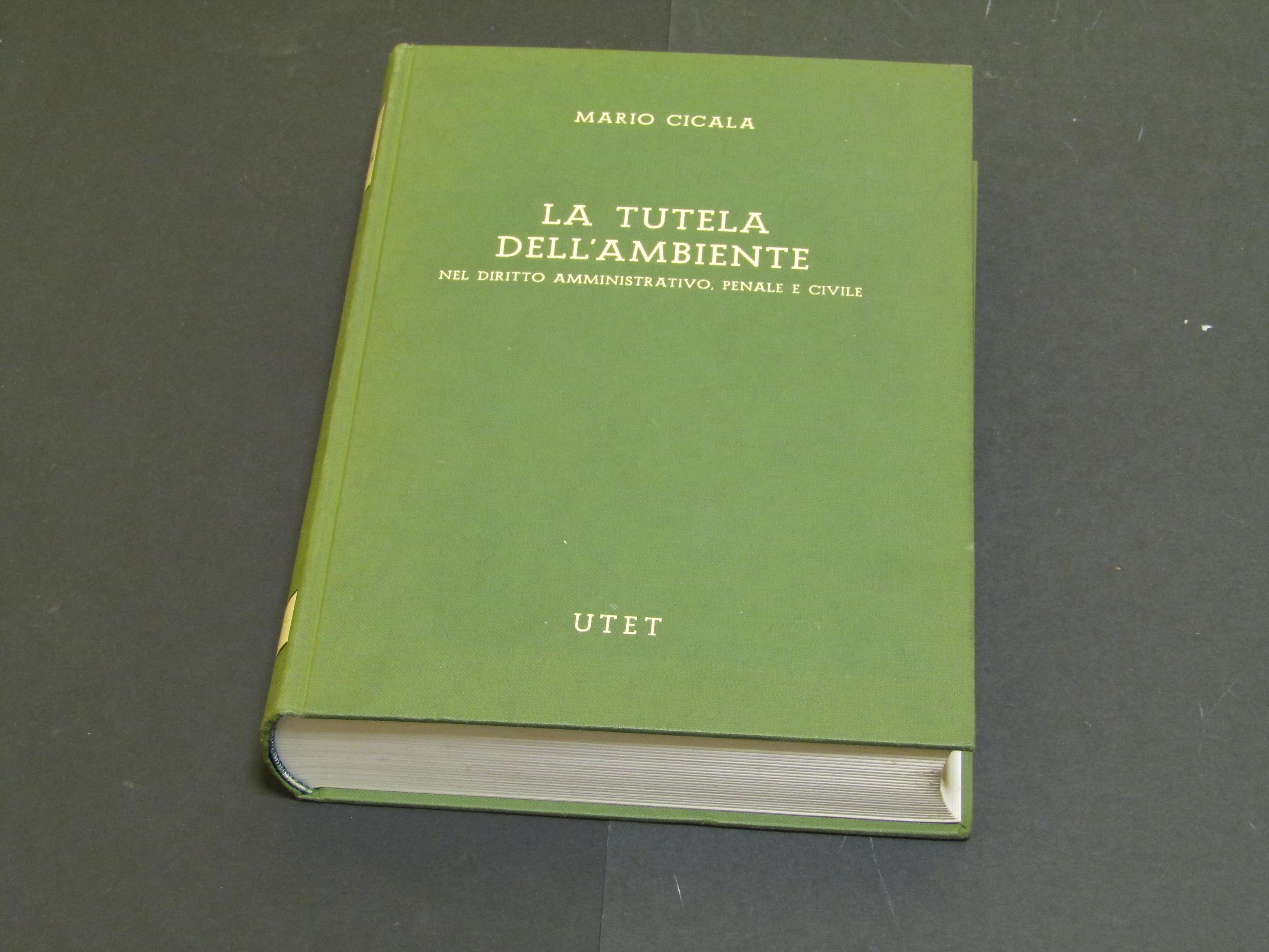 Amarcord Libri