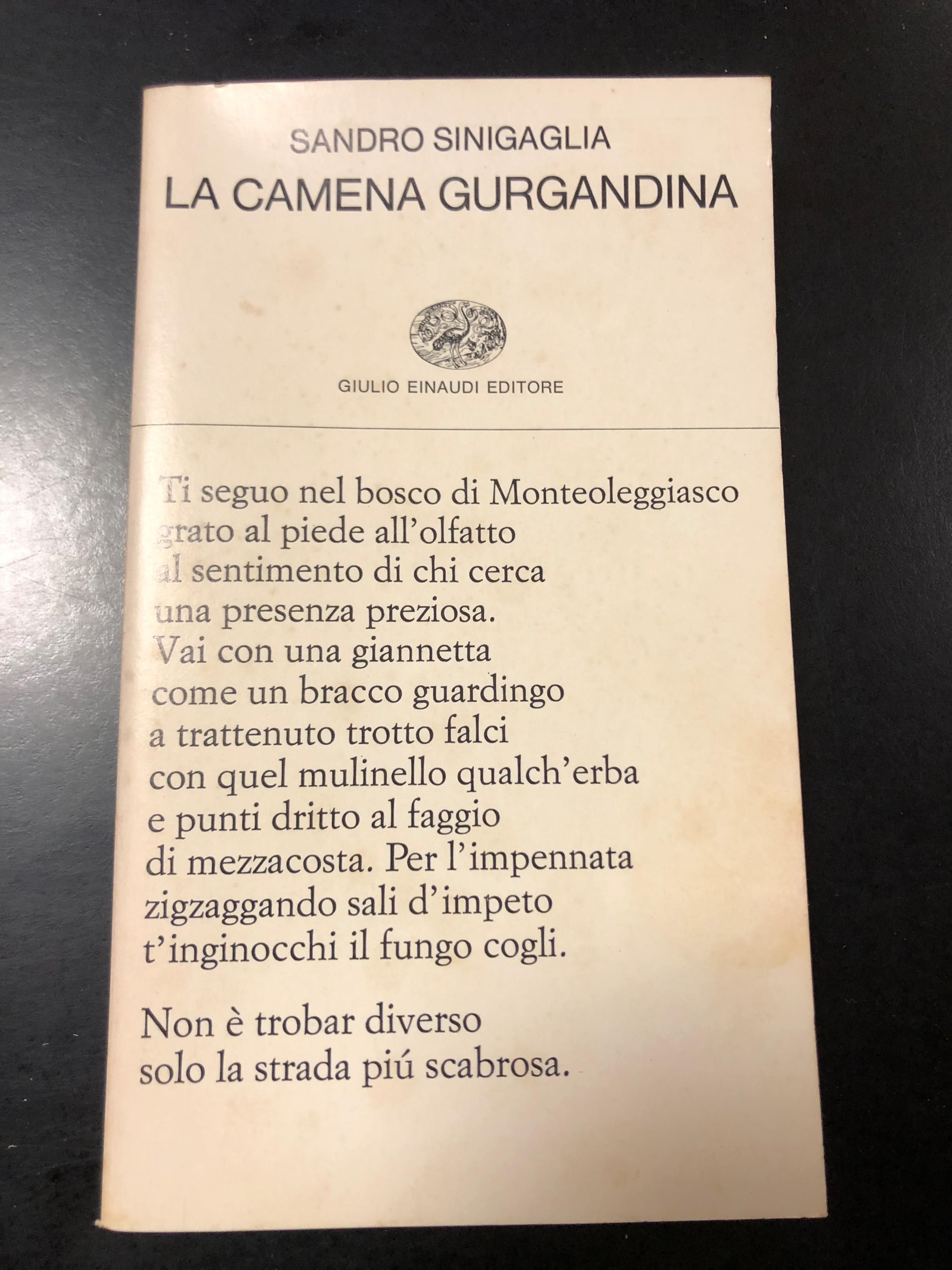 Amarcord Libri
