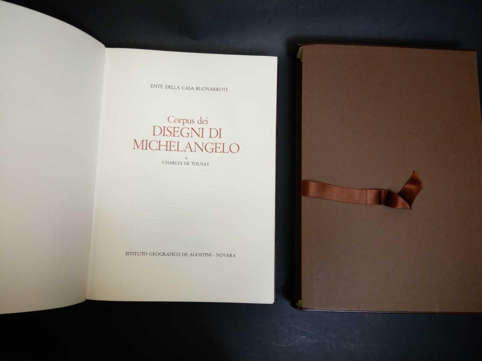 Corpus dei disegni di Michelangelo . Istituto geografico De Agostini. 1992. Vol. 3. Con cofanetto