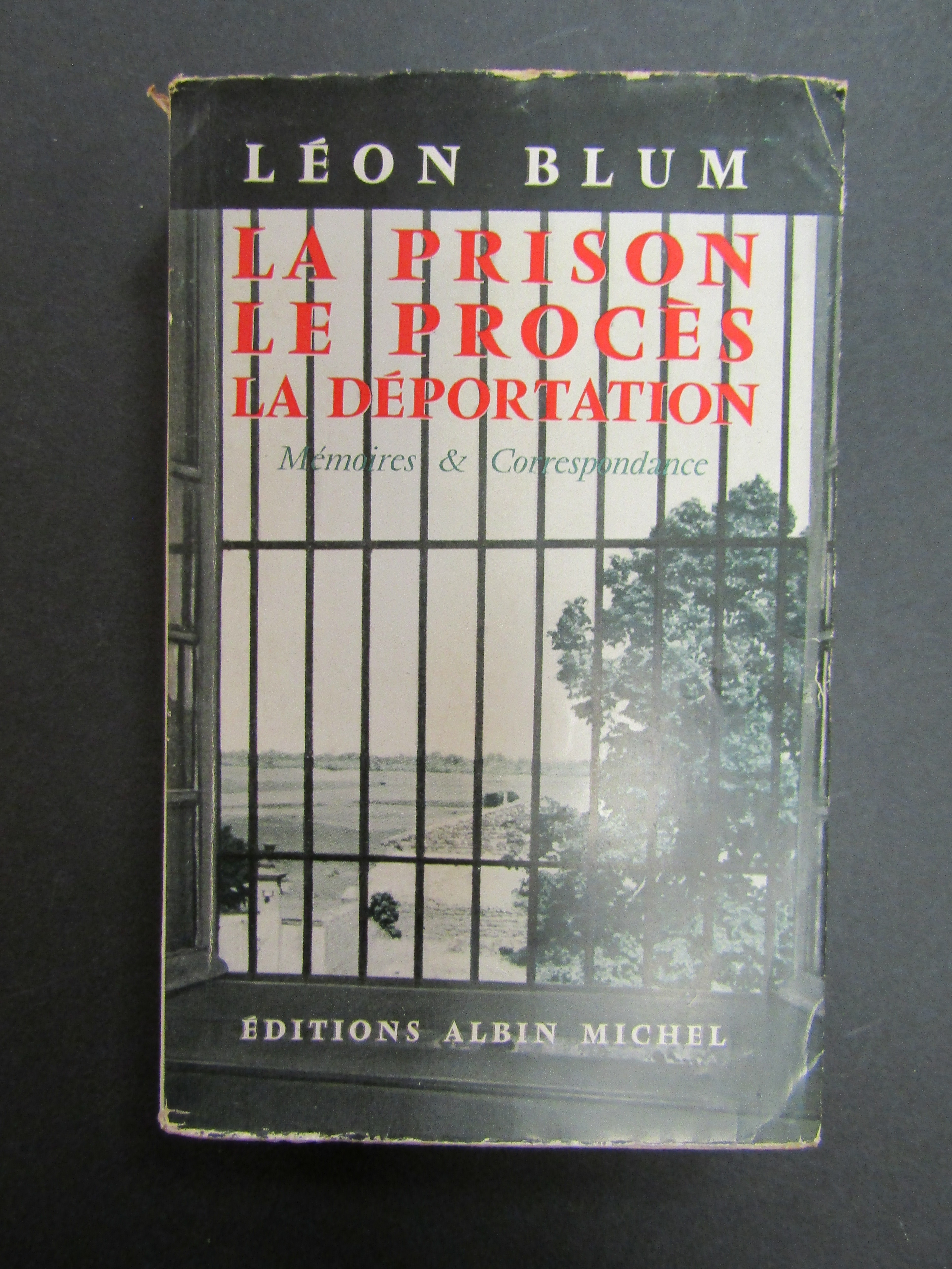 Amarcord Libri