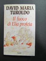 Il fuoco di Elia profeta. Piemme. 1993-I
