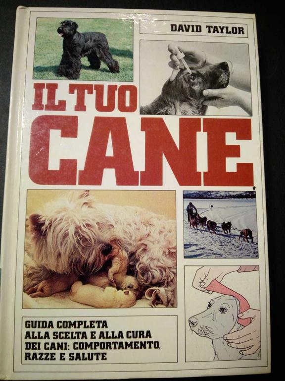 Amarcord Libri
