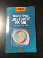 Luce colore visione. Perché si vede ciò che si vede. BUR 2000