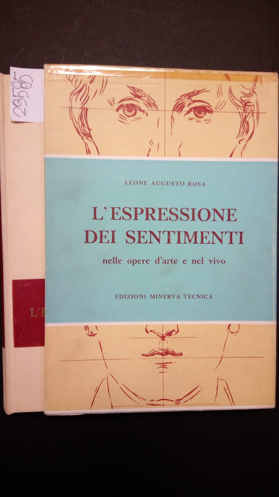 Amarcord Libri
