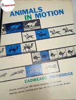 Muybridge Eadweard, Animals in motion, Dover Publications, 1957