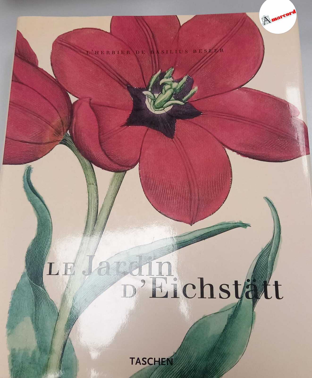 Amarcord Libri
