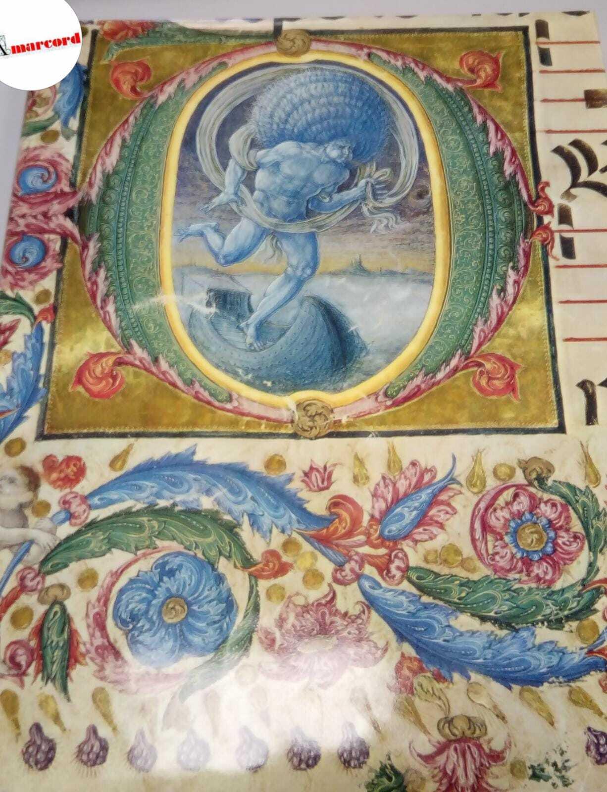 Amarcord Libri