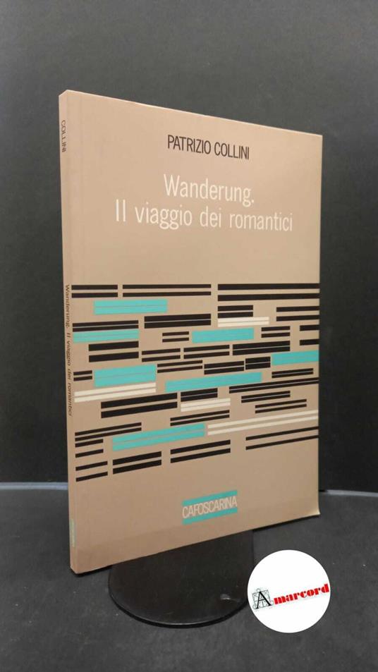 Collini, Patrizio. Wanderung : il viaggio dei romantici. Venezia Cafoscarina, 1993 - copertina