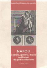 Napoli capitale, giardino, museo nell'Europa del primo Settecento