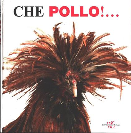 Che Pollo!..... White Star. Novara. 2011 - copertina