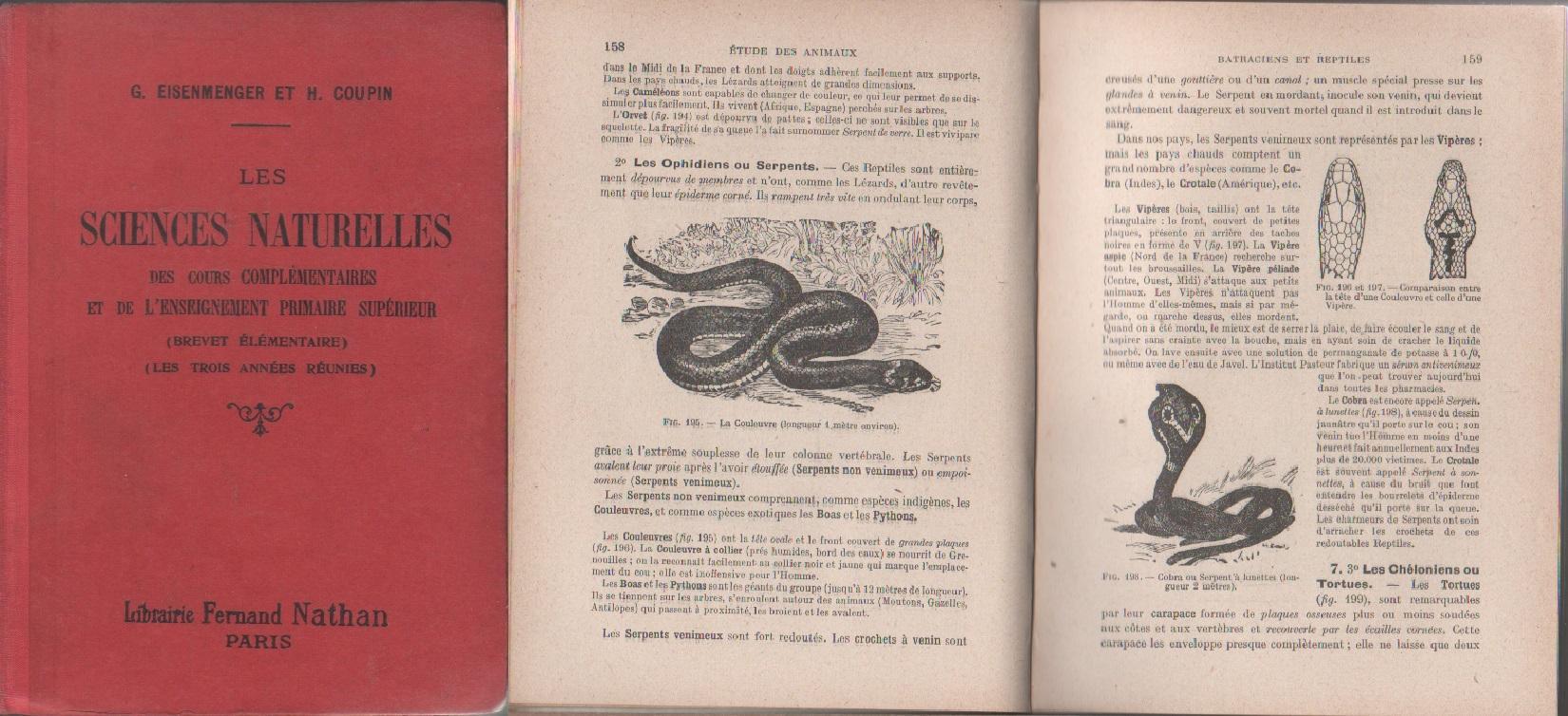 Libreria Biblos di Costa Pierandrea