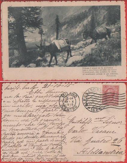 Muli con versi di Panzacchi. Viaggiata 1915 - copertina