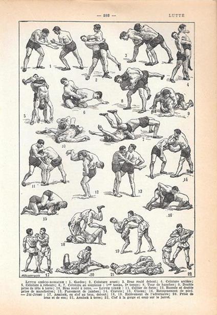 Lutte. Stampa 1954 - copertina