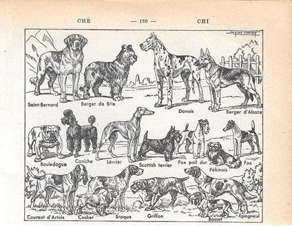 Chien. Stampa 1954 - copertina
