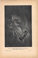 La signora Sibilla di Merian scopre alla Guiana le qualità luminose della Lanternaia. Stampa 1893