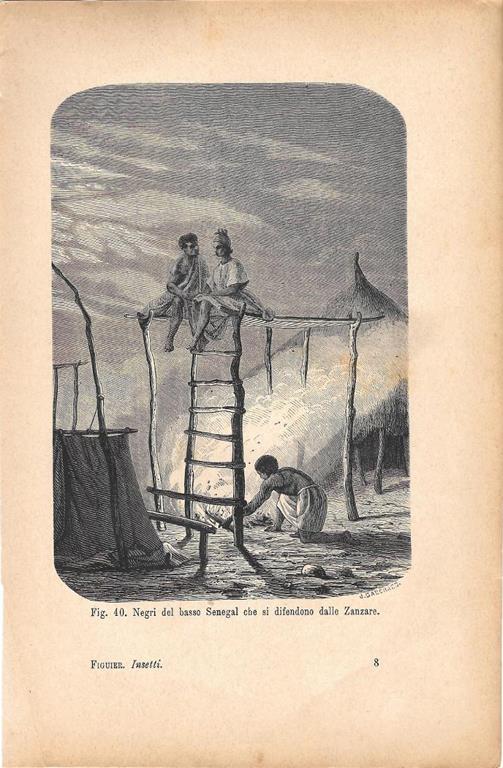 Negri del basso Senegal che si difendono dalle Zanzare. Stampa 1893 - copertina