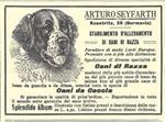 Arturo Seyfarth (Koestritz, Ger.) Allevamento cani di razza. Advertising 1914