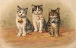 Tre gattini con fiocco. Non viaggiata