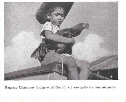 Ragazzo Chamorro (indigeno di Guam) col suo gallo da combattimento. Stampa 1934 - copertina