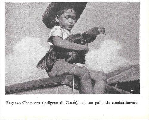 Ragazzo Chamorro (indigeno di Guam) col suo gallo da combattimento. Stampa 1934 - copertina