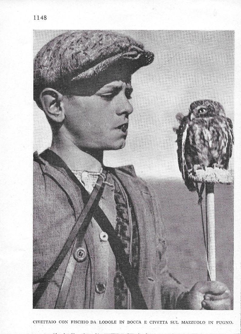 Civettai. Stampa1941