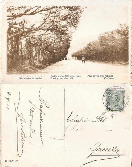 Viale alberato con verso di P. Fornari. Viaggiata 1916 - copertina