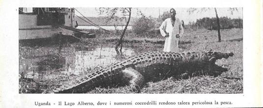 Uganda: Le cascate Ripon / I coccodrilli del Lago Alberto. Stampa 1934 - 2