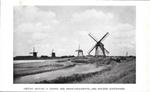 Vecchi mulini a vento per prosciugamento nel polder Schermeer. Stampa 1934