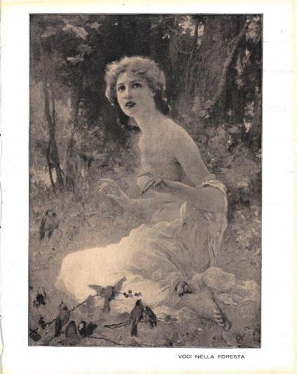 Voci nella foresta. Stampa 1923 - copertina